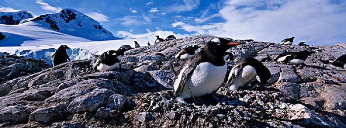 《漫威蜘蛛侠》开发商被黑客入侵 勒索200万美元